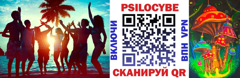 как найти закладки Янаул Псилоцибиновые грибы мицелий